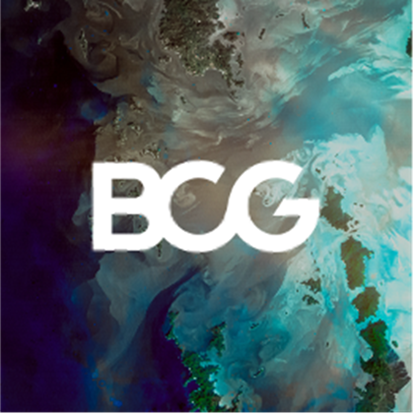 Boston Consulting Group
